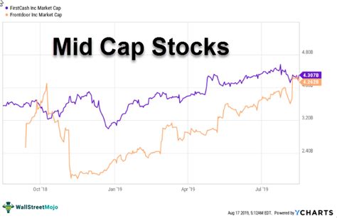 jpmorgan mid cap value l|mid cap stock index.